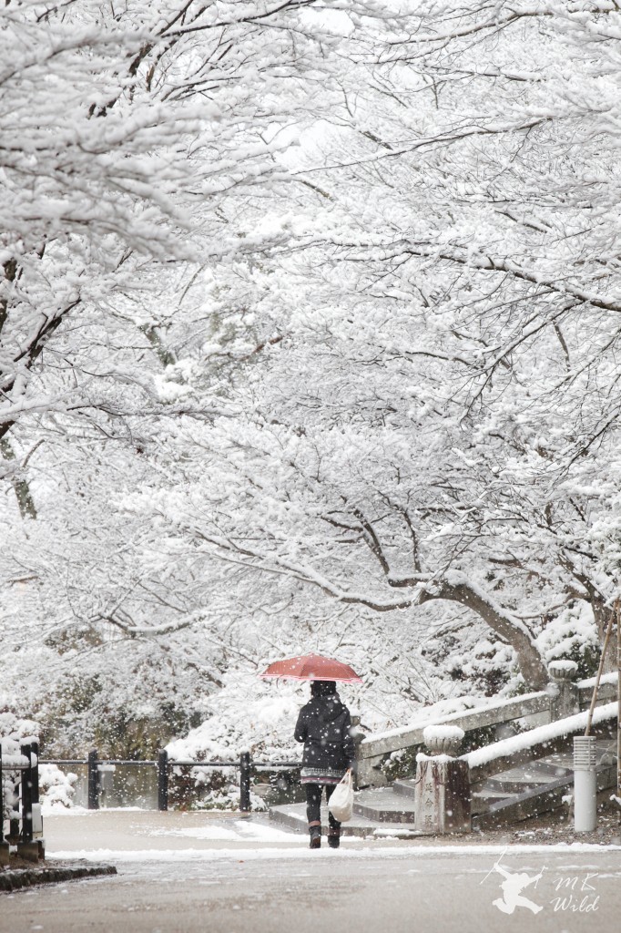 Travel Japan Kyoto Tokyo Winter January February Snow Backpack Cheap