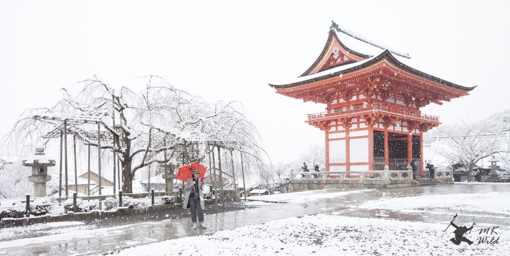 Travel Japan Kyoto Tokyo Winter January February Snow Backpack Cheap