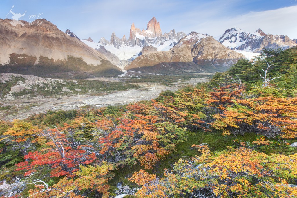 An explosion of fall colors under Fitz Roy