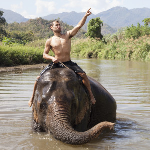 Thailand, elephant, elephant riding, adventure, Thailand