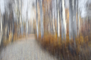 Camera shake on a fall road in the Methow Valley, Washington