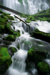 Proxy Falls, Oregon, waterfall, Cascades