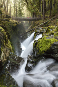 Waterfall, Sol Duc Falls, Forest, Amazing