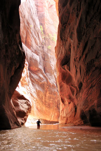 The Narrows, Zion, Slot Canyon, Canyoneering, Exploration, Adventure